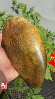 甄玉坊:再说和田玉籽料中的石包玉